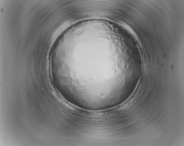 X0000060761096200511241722