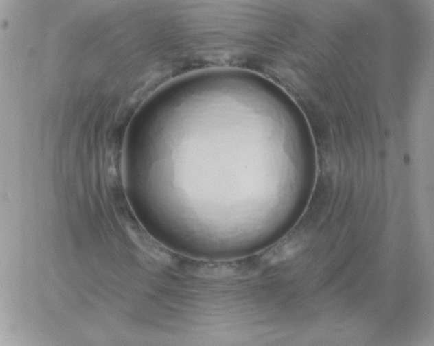 X0000060761106200511241721