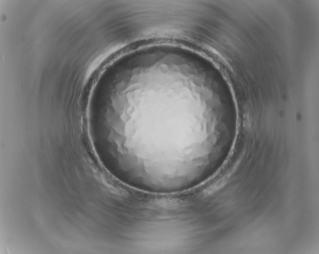X0000060761117200511241721