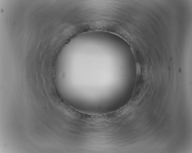 X0000060761153200511241721
