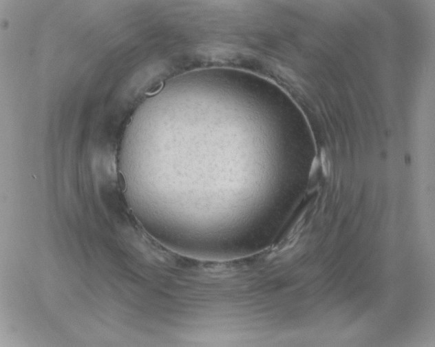 X0000060761155200511241721