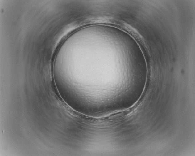 X0000060761174200511241721
