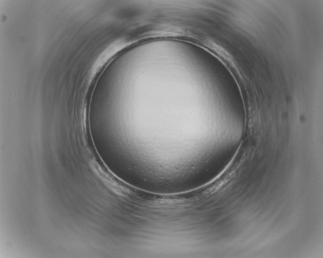 X0000060761179200511241721