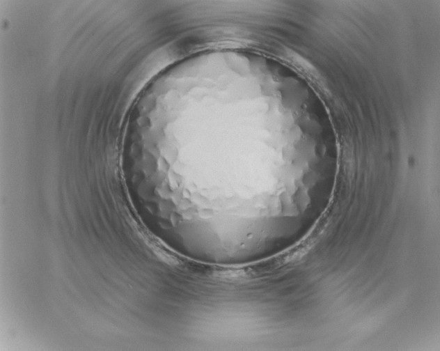 X0000060761186200511241721