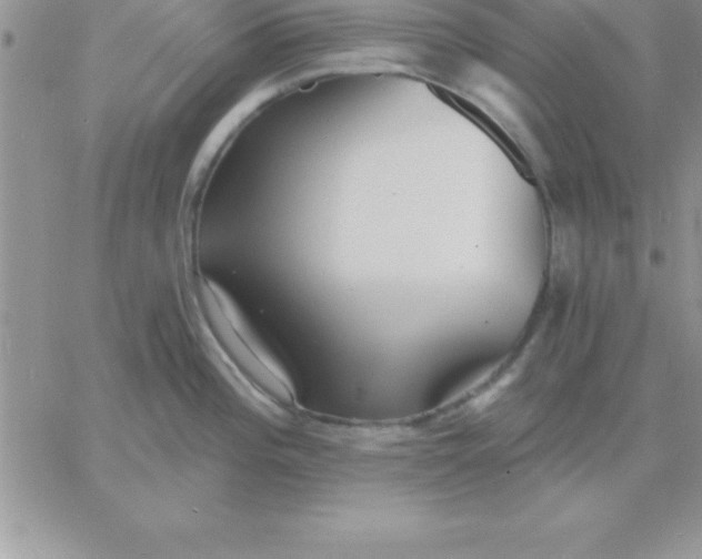X0000060761196200511241720