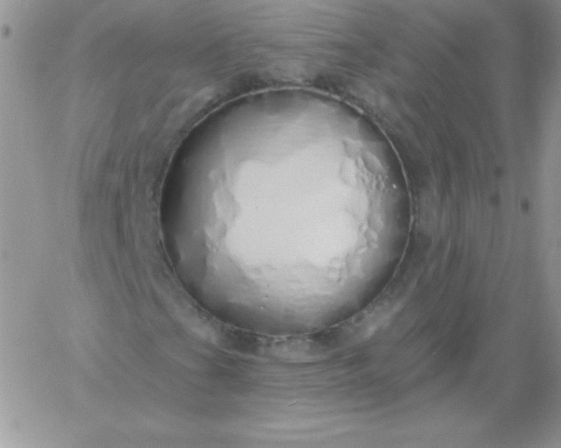 X0000060761201200511241720