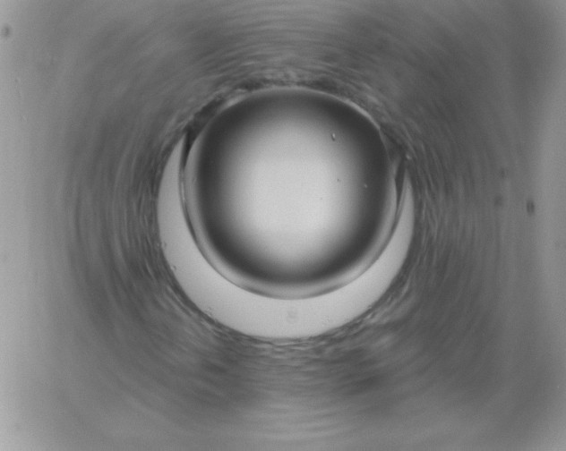 X0000060761202200511241720