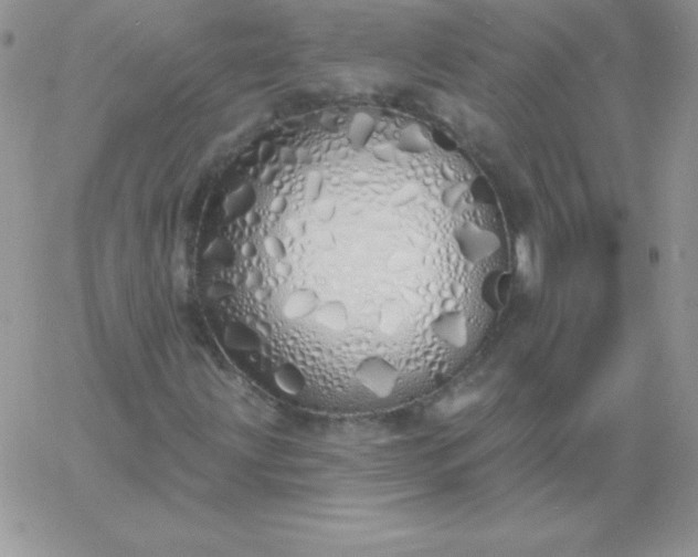 X0000060761203200511241720