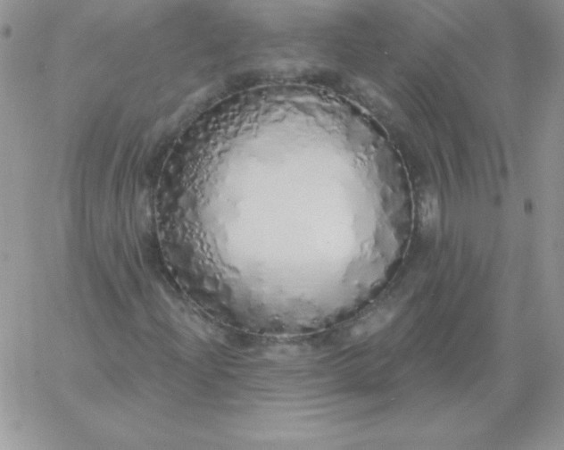 X0000060761204200511241720
