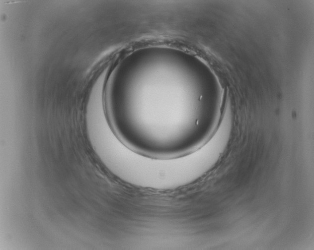X0000060761206200511241720