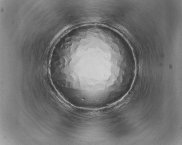 X0000060761212200511241720