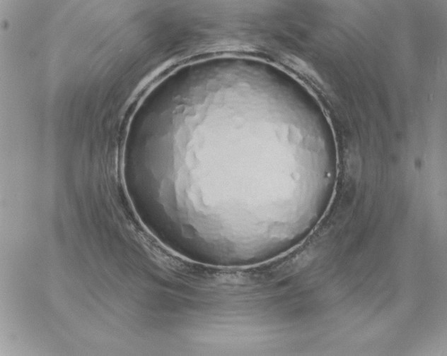 X0000060761220200511241720