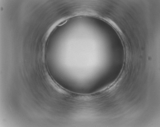 X0000060761246200511241720