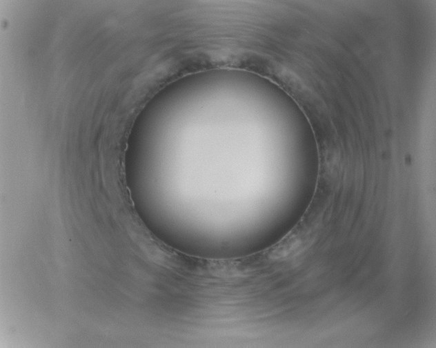 X0000060761249200511241720