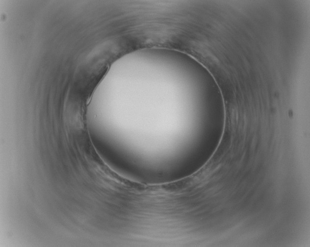 X0000060761250200511241720