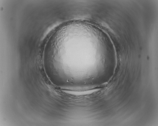 X0000060761256200511241719