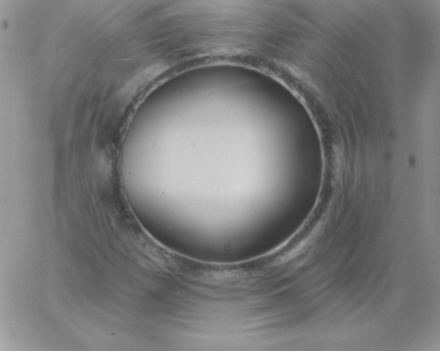 X0000060761257200511241719