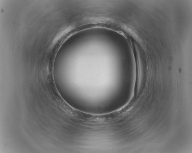 X0000060761261200511241719