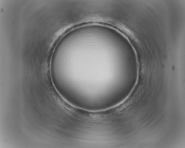 X0000060761264200511241719