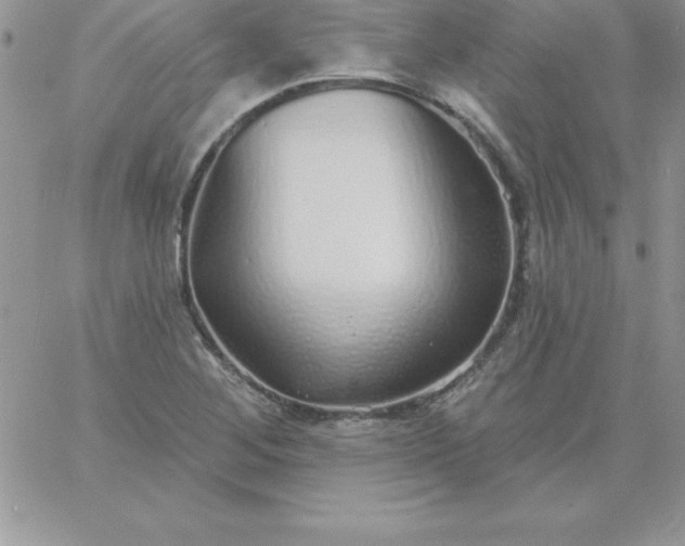X0000060761268200511241719