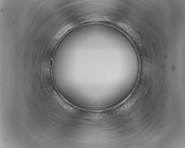 X0000060761273200511241719