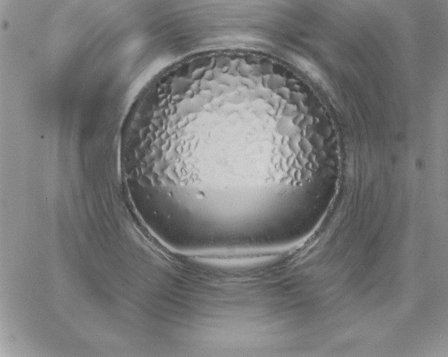 X0000060761275200511241719
