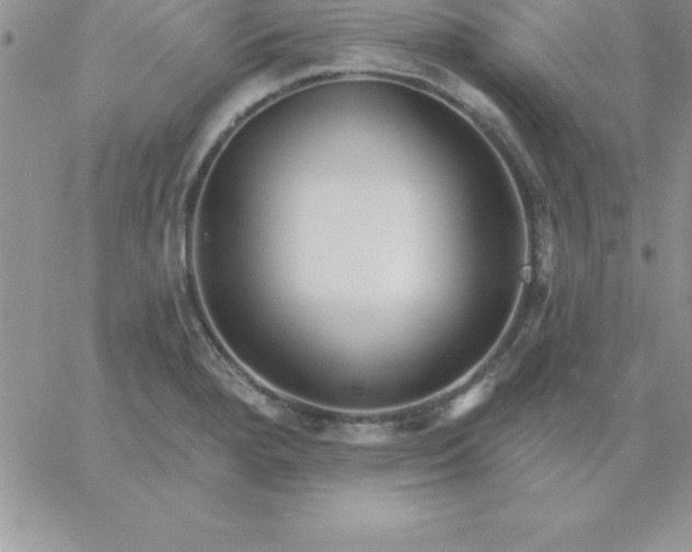 X0000060761280200511241719