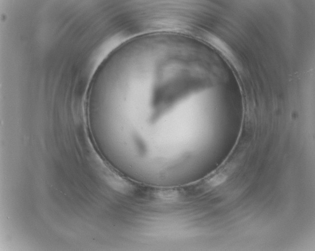 X0000060761291200511241719