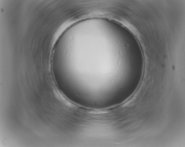 X0000060761296200511241719