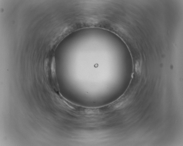 X0000060761299200511241718