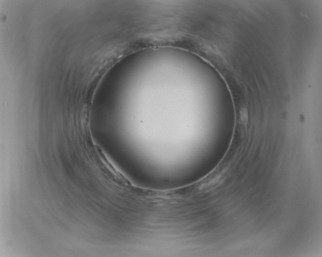 X0000060761300200511241718