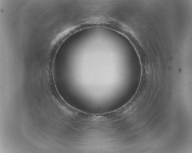 X0000060761304200511241718