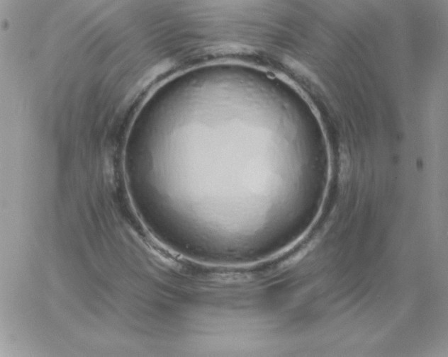 X0000060761305200511241718