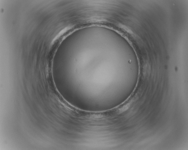 X0000060761306200511241718