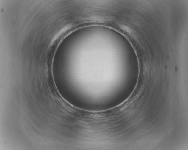 X0000060761307200511241718