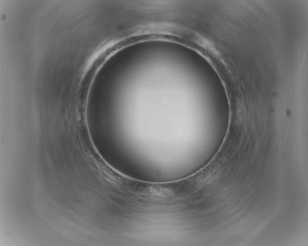 X0000060761312200511241718