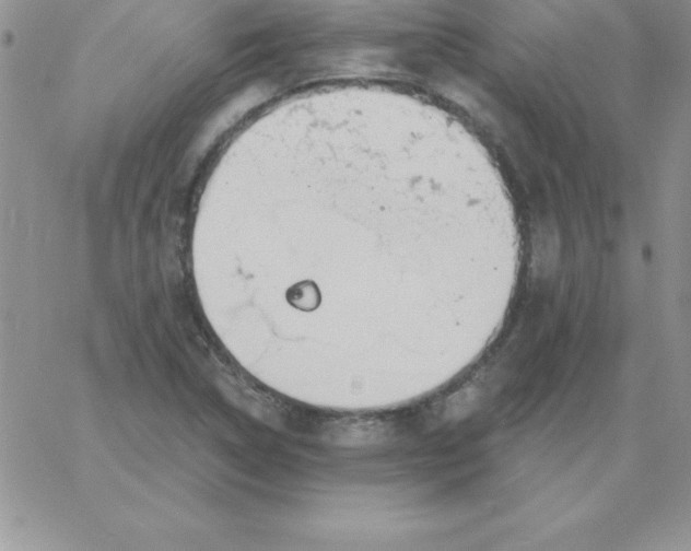 X0000060761314200511241718