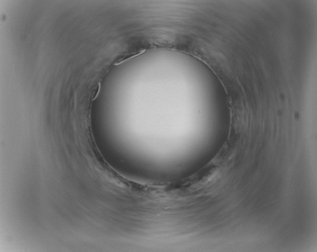 X0000060761345200511241718