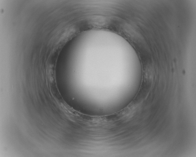 X0000060761346200511241718