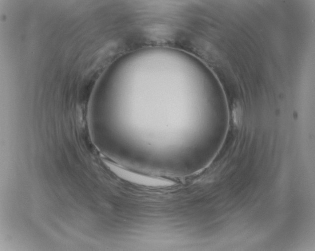 X0000060761347200511241718