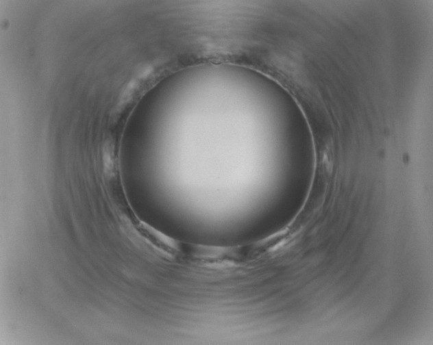 X0000060761348200511241718