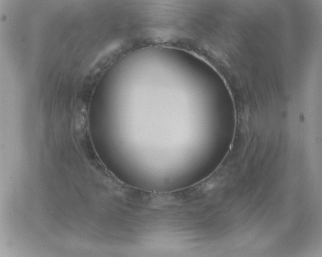 X0000060761349200511241718