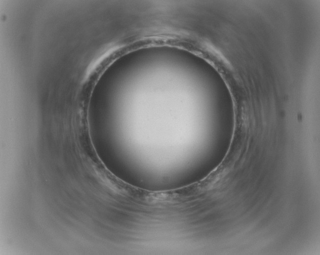 X0000060761352200511241718