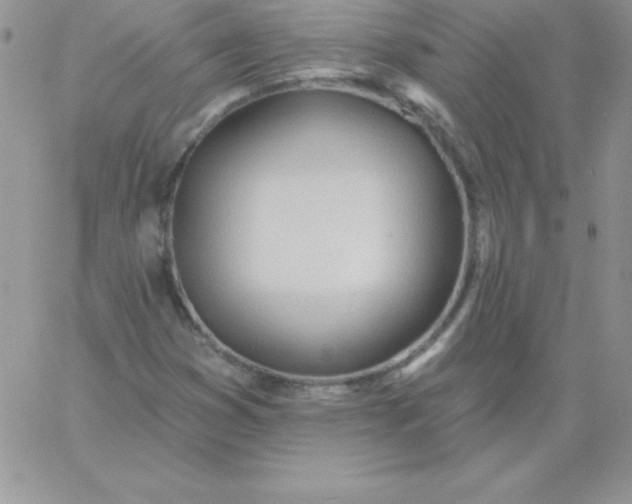 X0000060761353200511241718