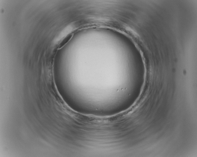 X0000060761354200511241718