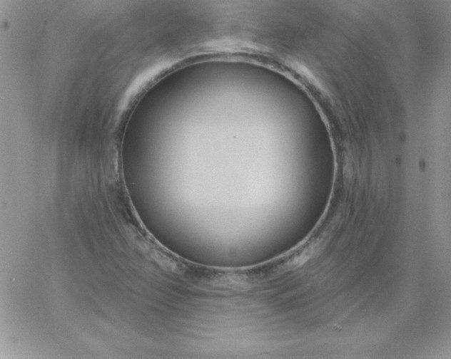 X0000060761358200511241718