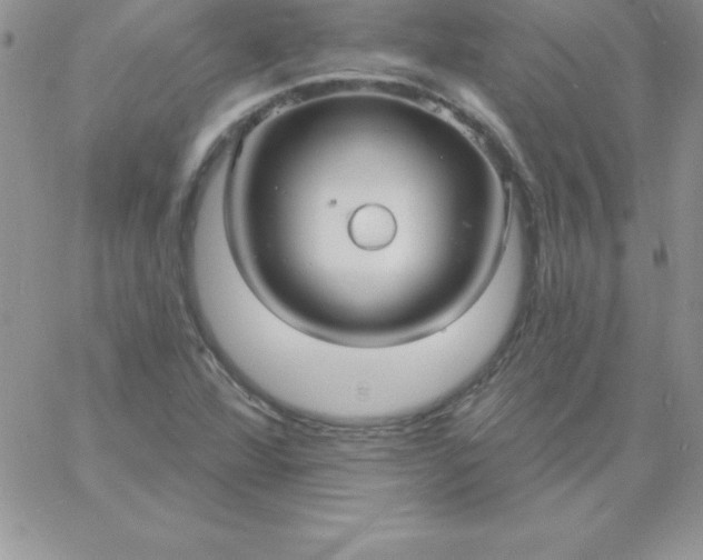 X0000060761360200511241718