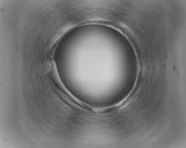 X0000060761361200511241718