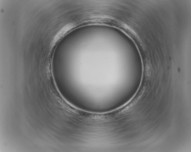 X0000060761362200511241718