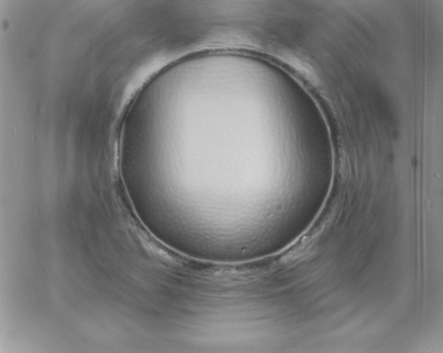 X0000060761366200511241718
